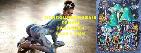 первитин Горнозаводск