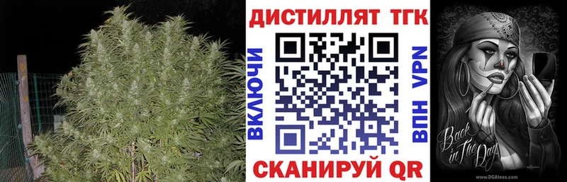OMG ссылка  Мценск  Дистиллят ТГК THC oil  дарнет шоп 