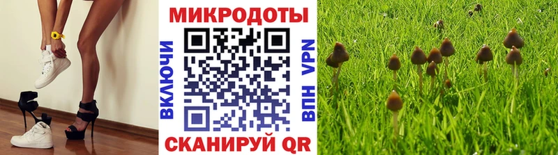 Галлюциногенные грибы мухоморы  Мценск 