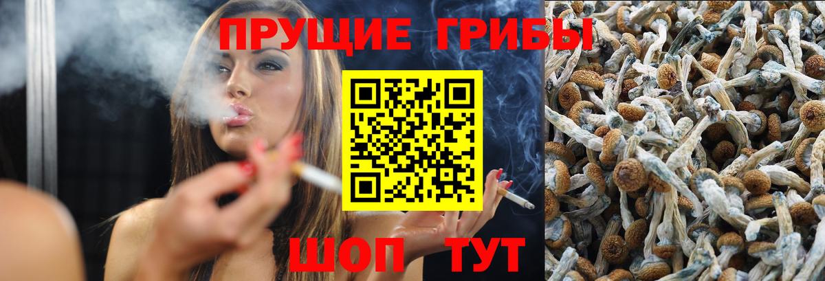 Мценск  Псилоцибиновые грибы Magic Shrooms  Вход с VPN 